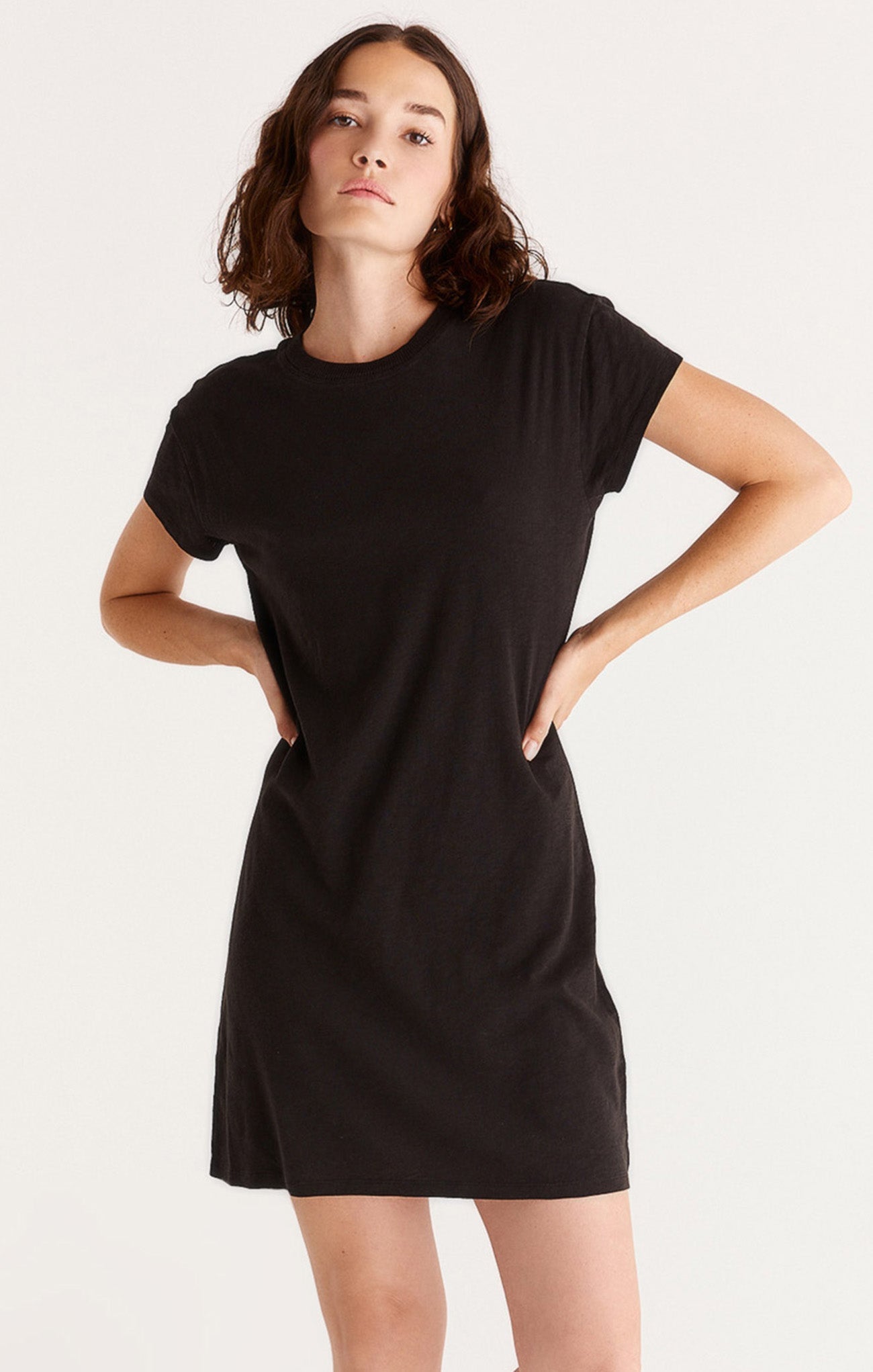 Z Supply Modern Crew Tee DressMini Dress
