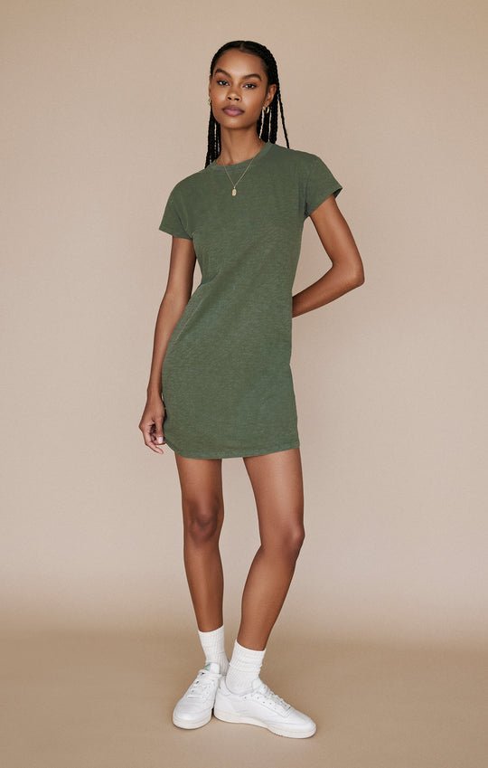 Z Supply Modern Crew Tee DressMini Dress