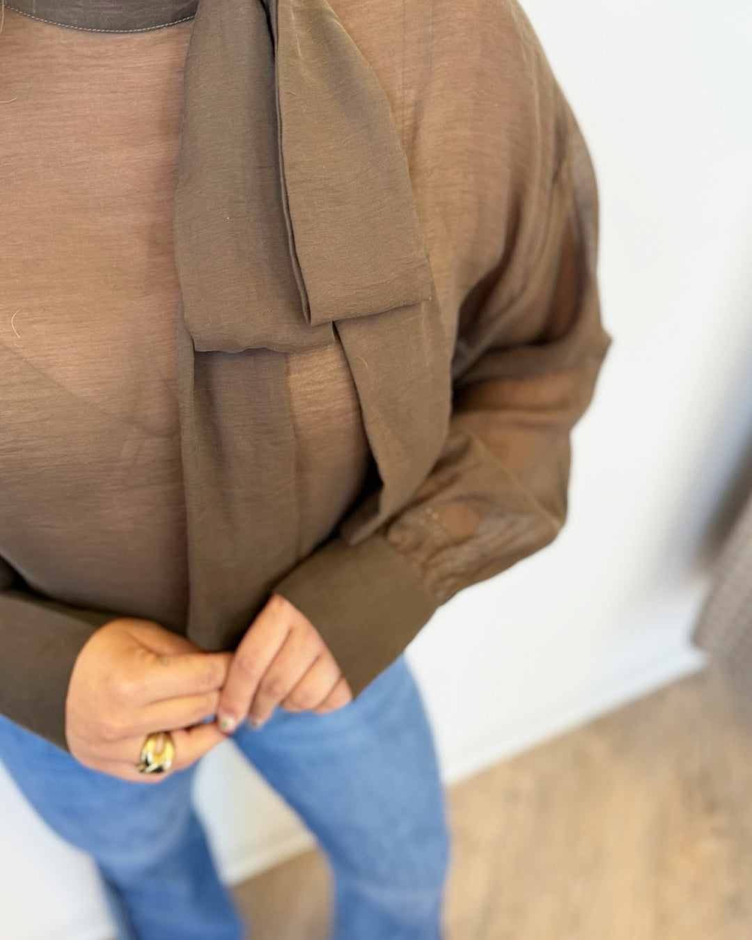 Ellie Sheer Long Sleeve Blouse