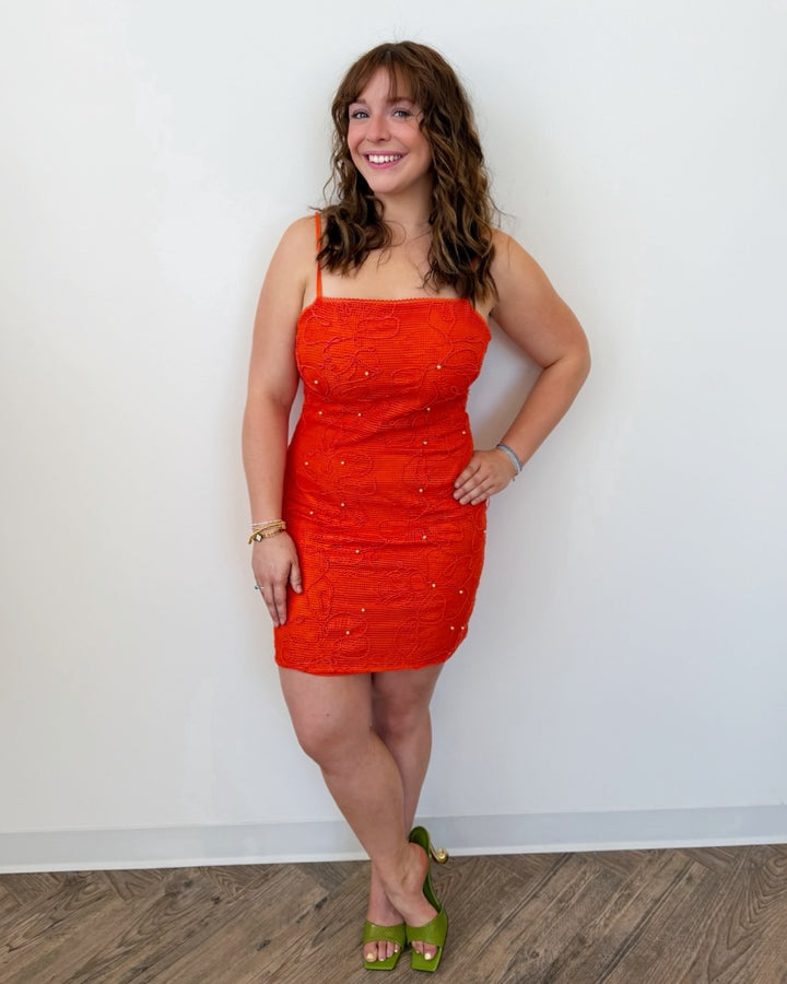 Steve Madden Maureene Mesh Mini Dress