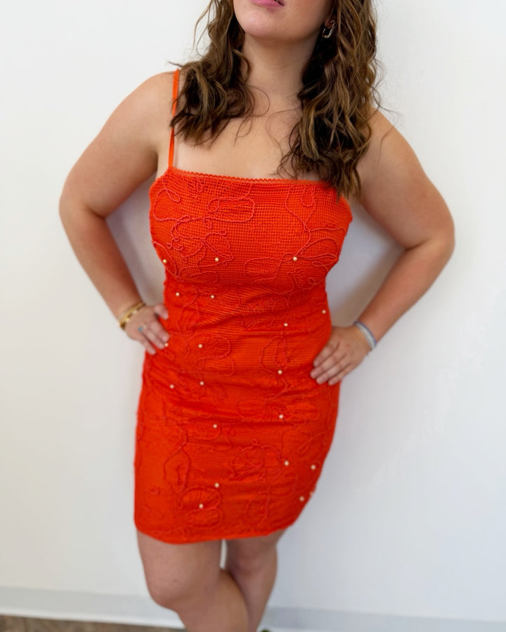 Steve Madden Maureene Mesh Mini Dress