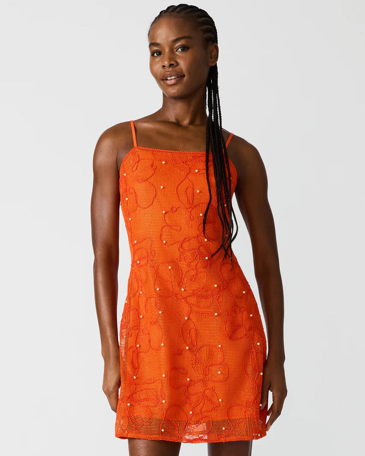 Steve Madden Maureene Mesh Mini Dress