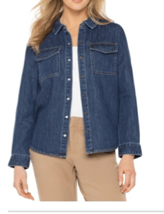 Button Down Denim Shirt