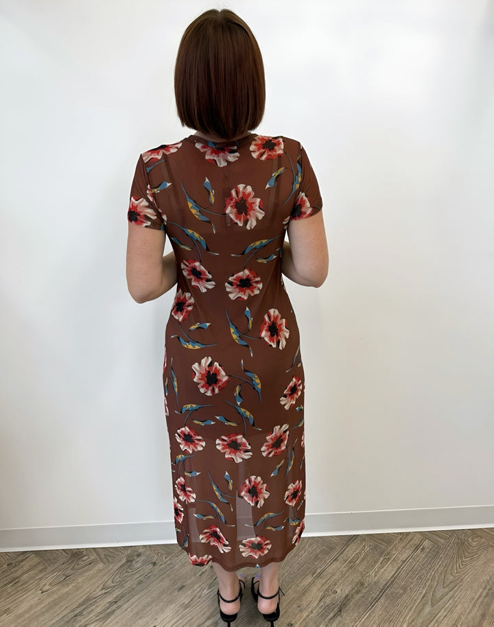 Dorian Printed Mesh Midi DressDress