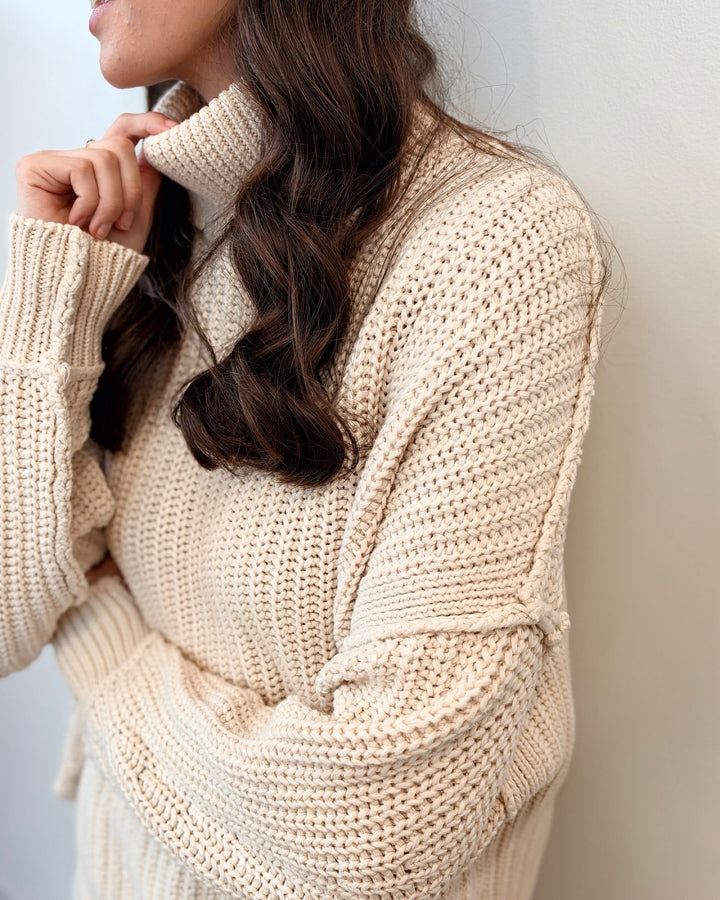 Free People We The Free Worn Thru Turtlelong sleeve knit