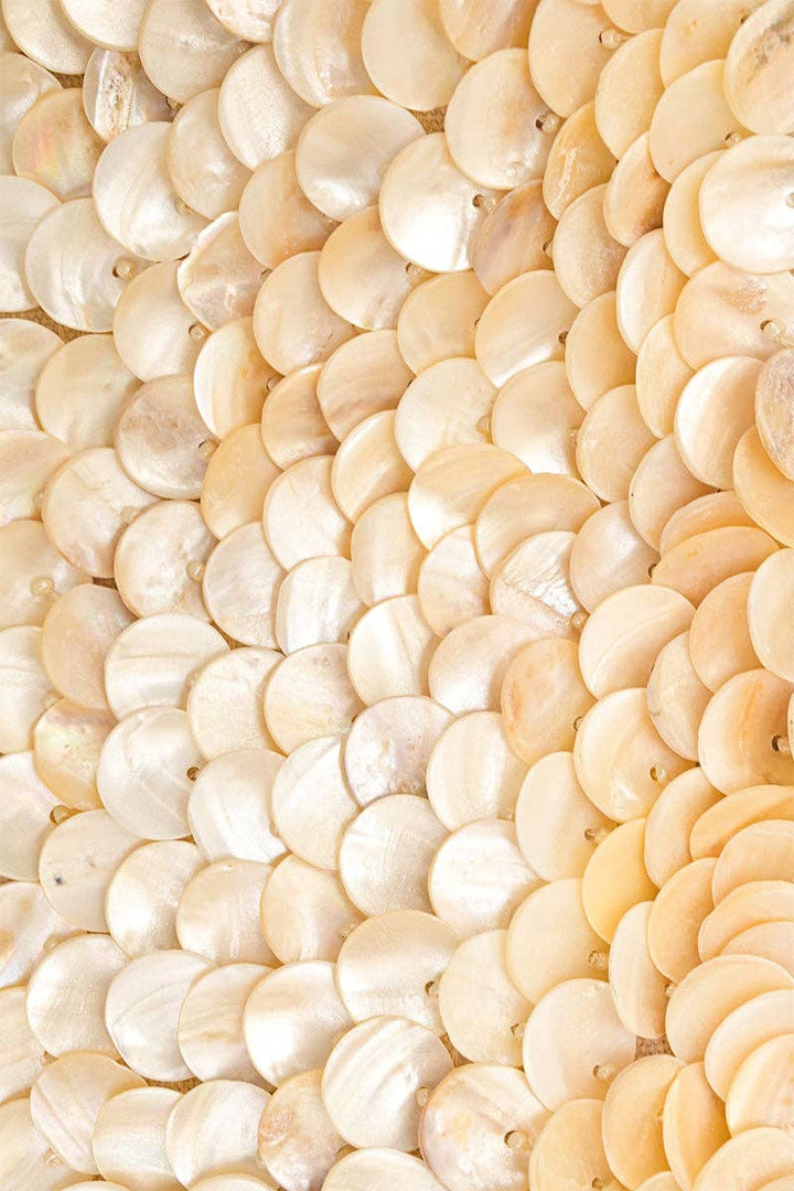 Rainbow Shell Beaded Shoulder BagAB25-1653