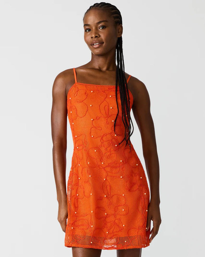 Steve Madden Maureene Mesh Mini Dressmini dress