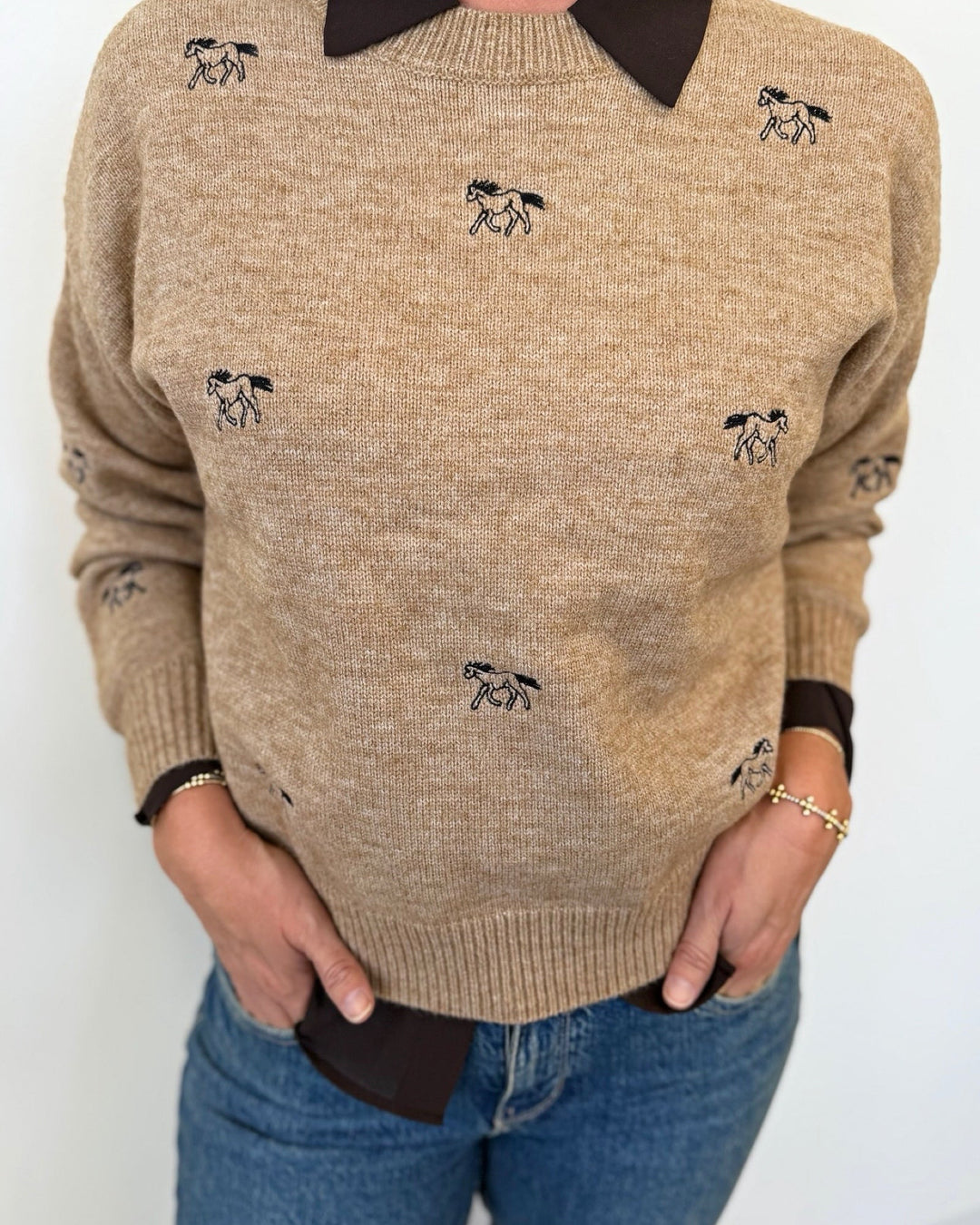 Wild Horse Sweaterlong sleeve knitEC11903