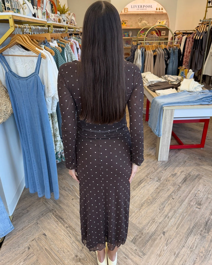 Z Supply Amara Polka Dot Mesh Toplong sleeve top
