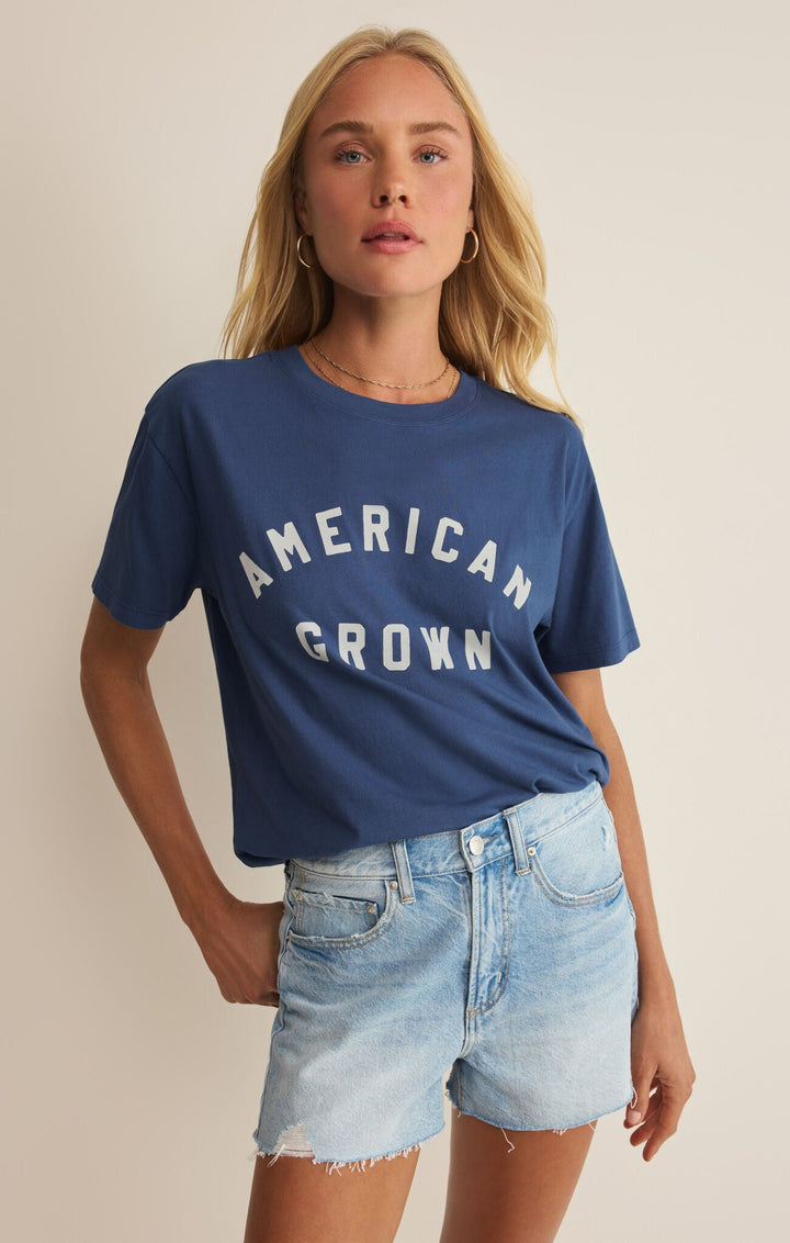 Z Supply American Boyfriend Teegraphic tee