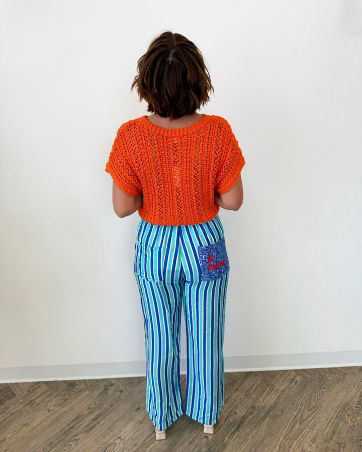 Z Supply Ballast Crochet Stripe Sweaterknit top