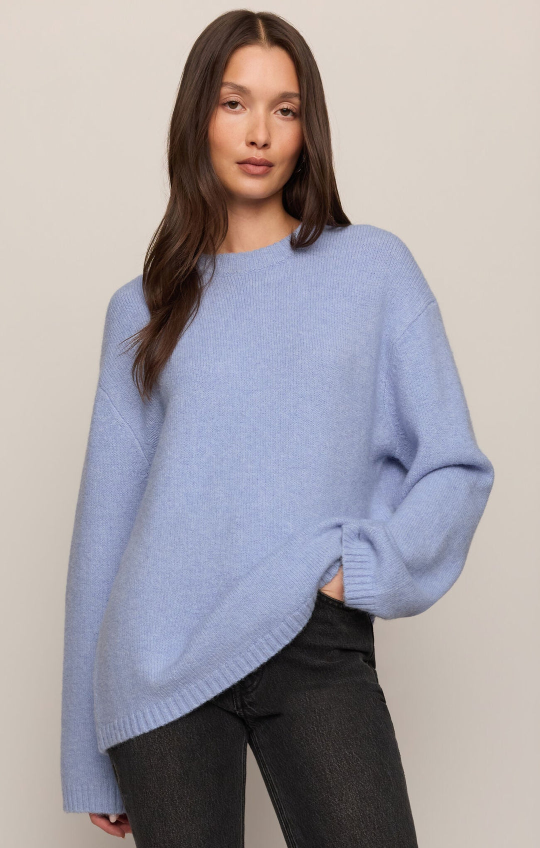Z Supply Chill Mode Sweaterlong sleeve knit