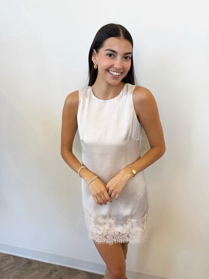 Z Supply Meadow Muse Lace Mini Dressmini dress