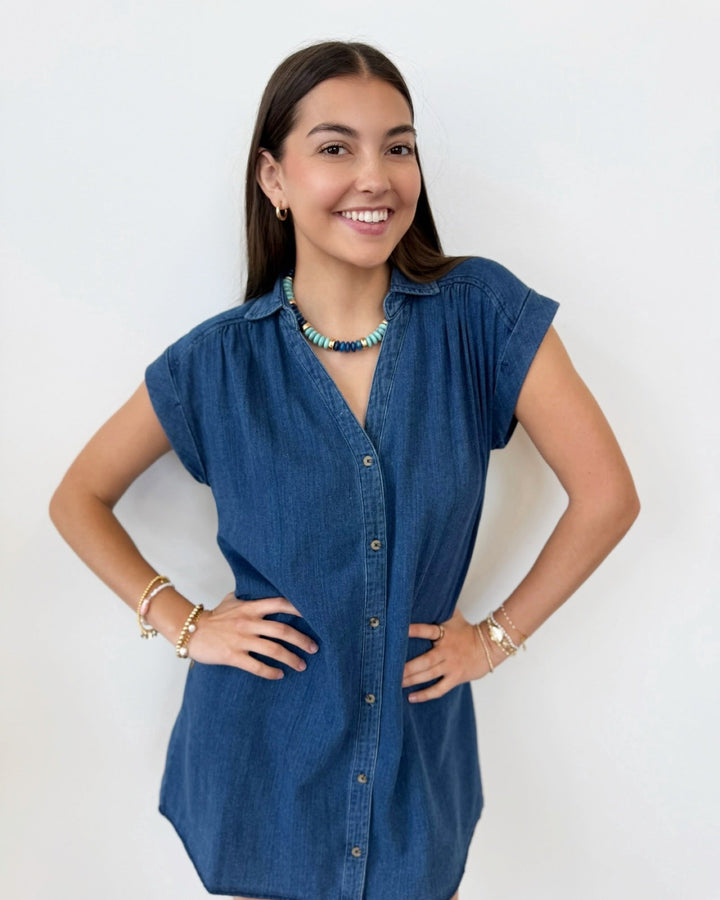 Z Supply Shellbound Twill Dressmini dress