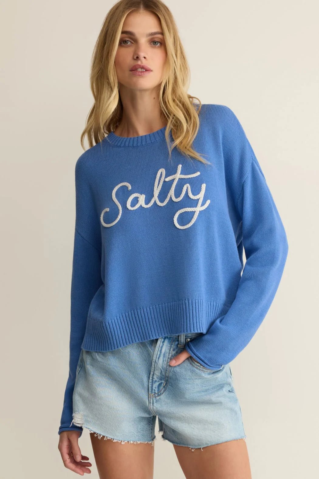 Z Supply Sienna Salty Sweaterlong sleeve knit