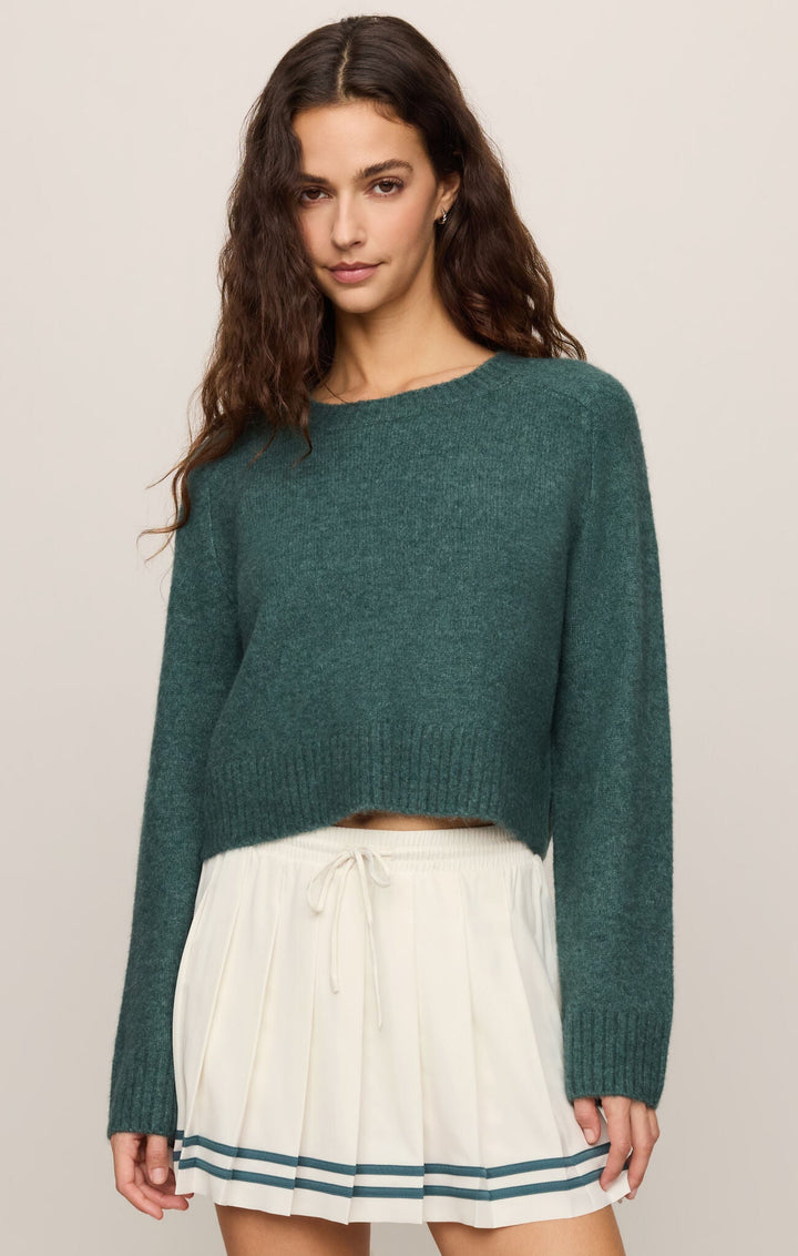 Z Supply Stand In Sweaterlong sleeve knit