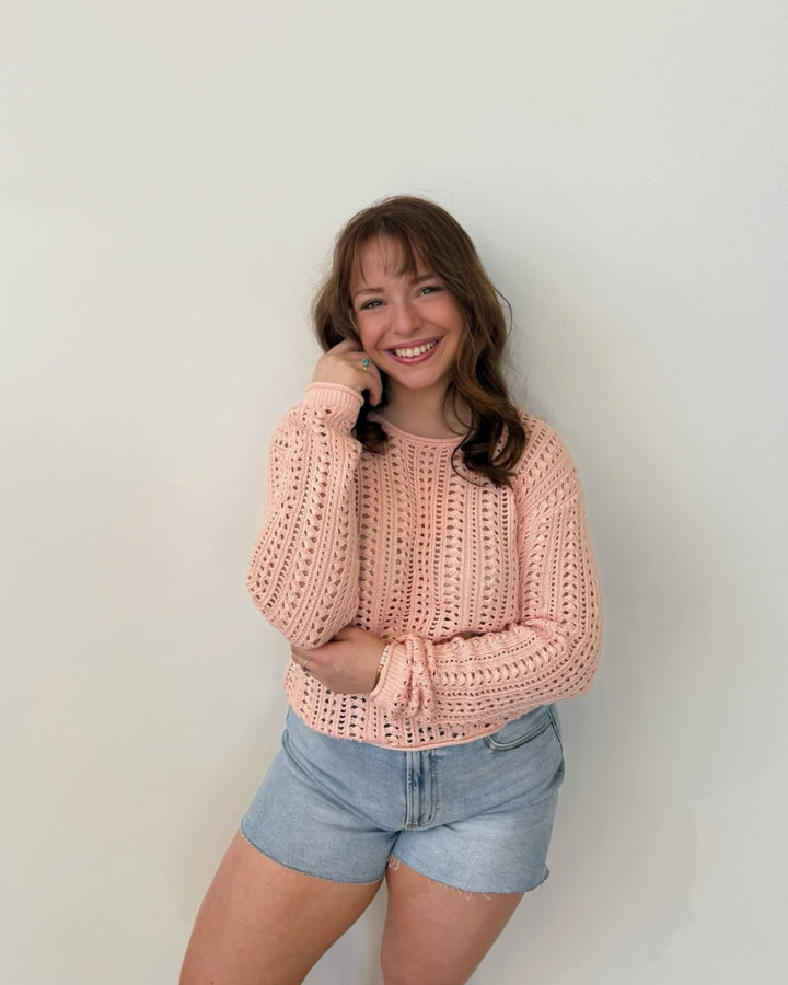 Z Supply Upland Crochet Sweaterlong sleeve knit
