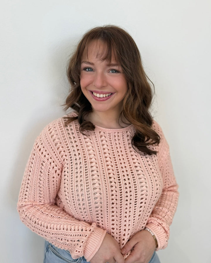 Z Supply Upland Crochet Sweaterlong sleeve knit