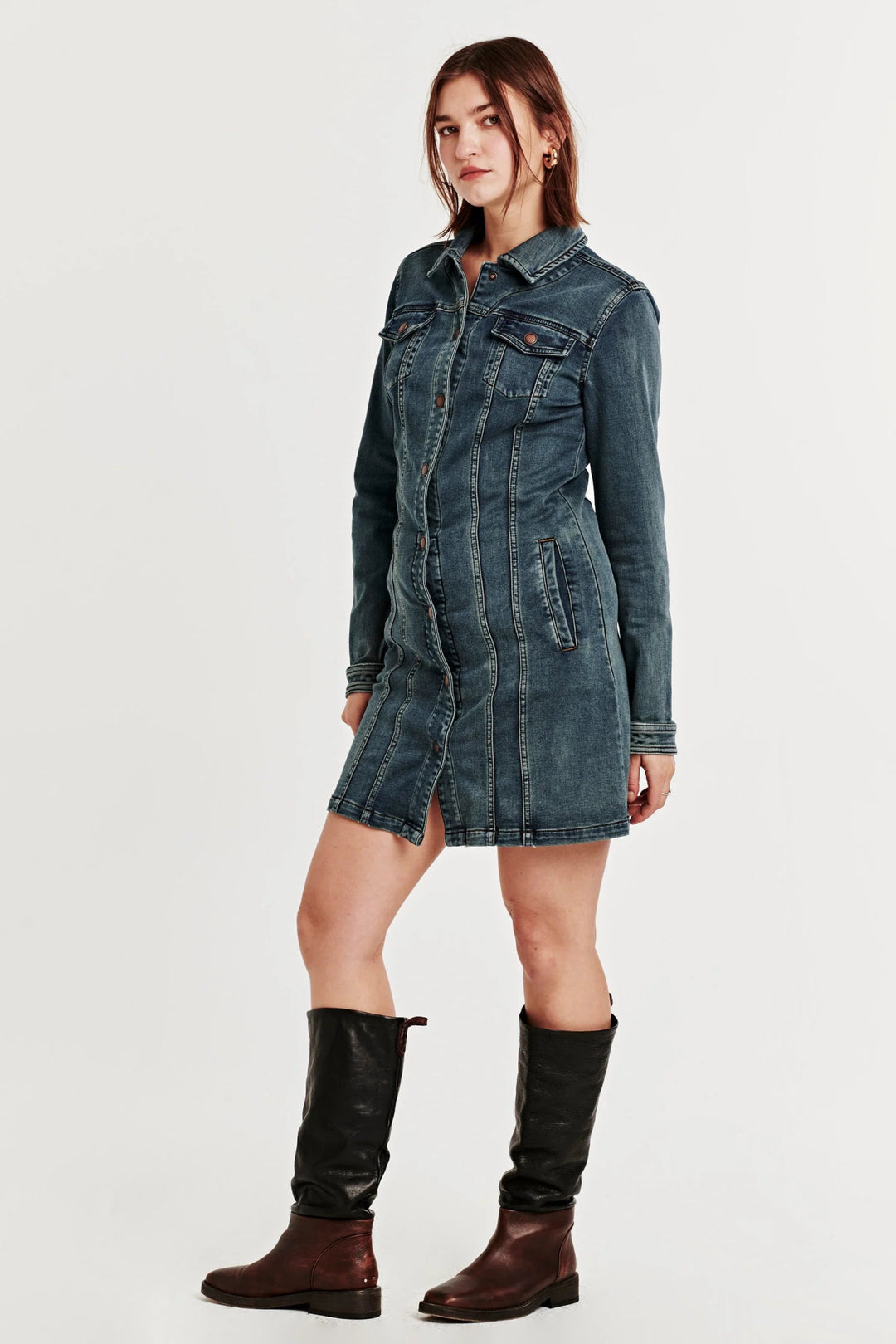 Dear John Gabrielle Button Down Denim DressDress